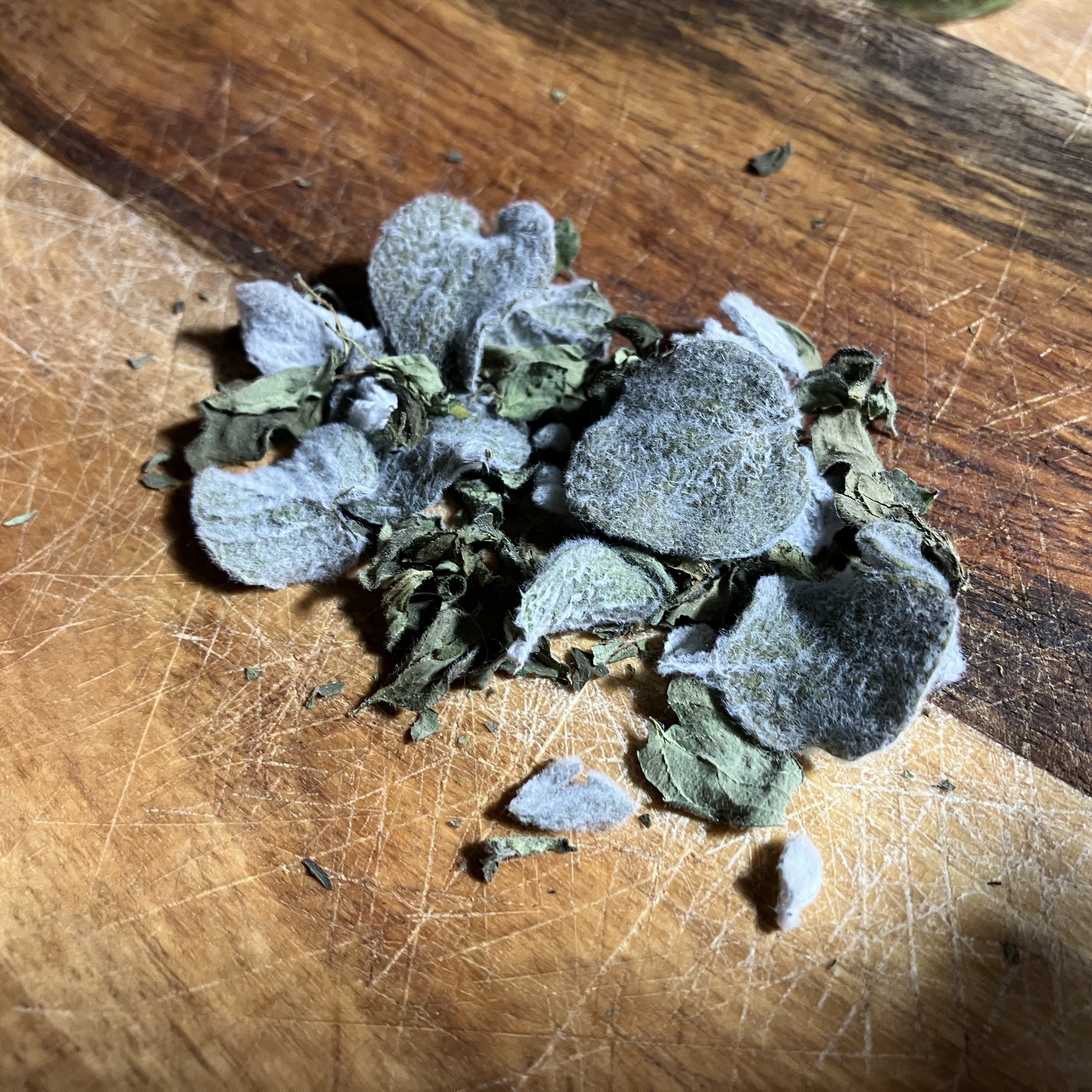 Oregano photo 2