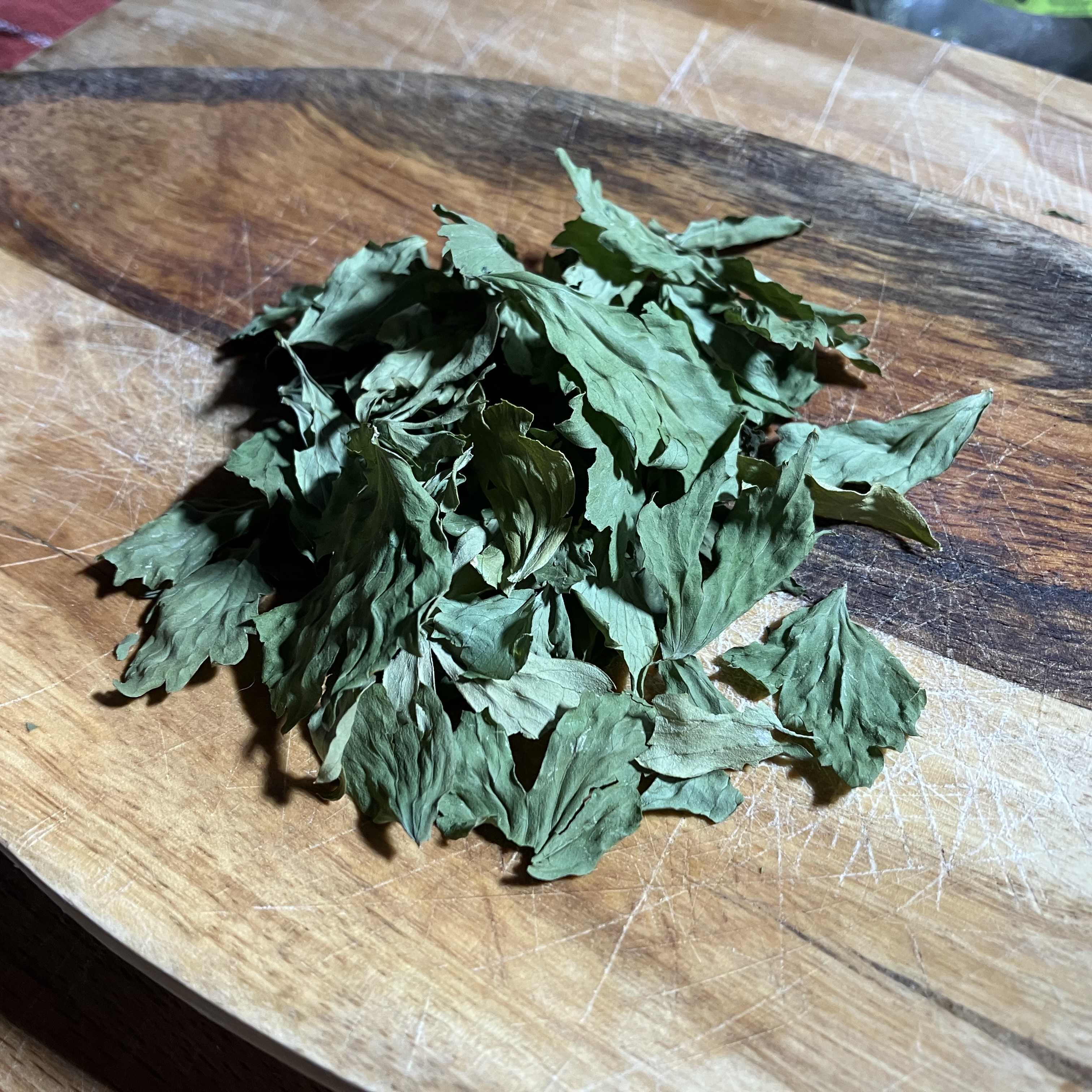 Lovage photo 3