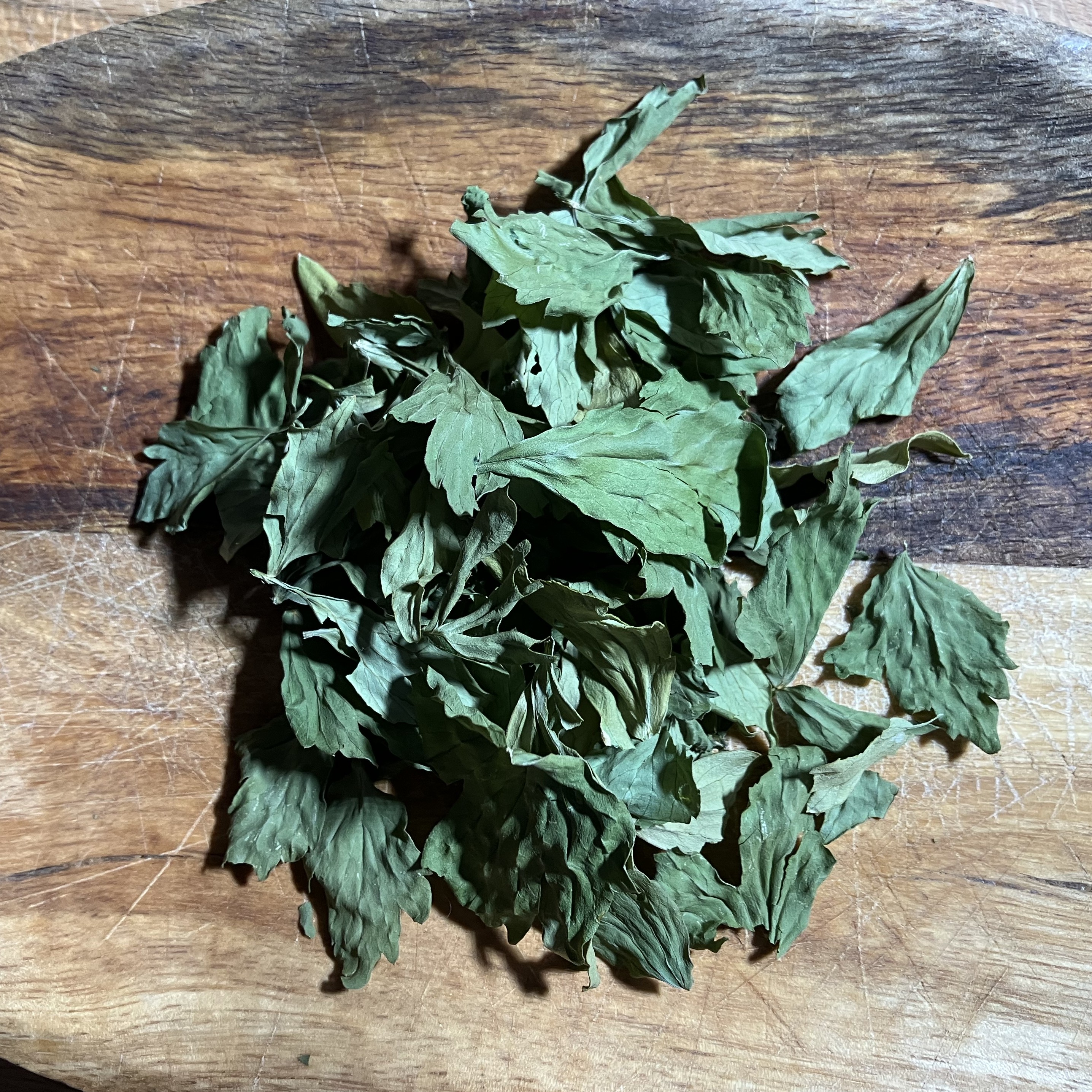 Lovage photo 2