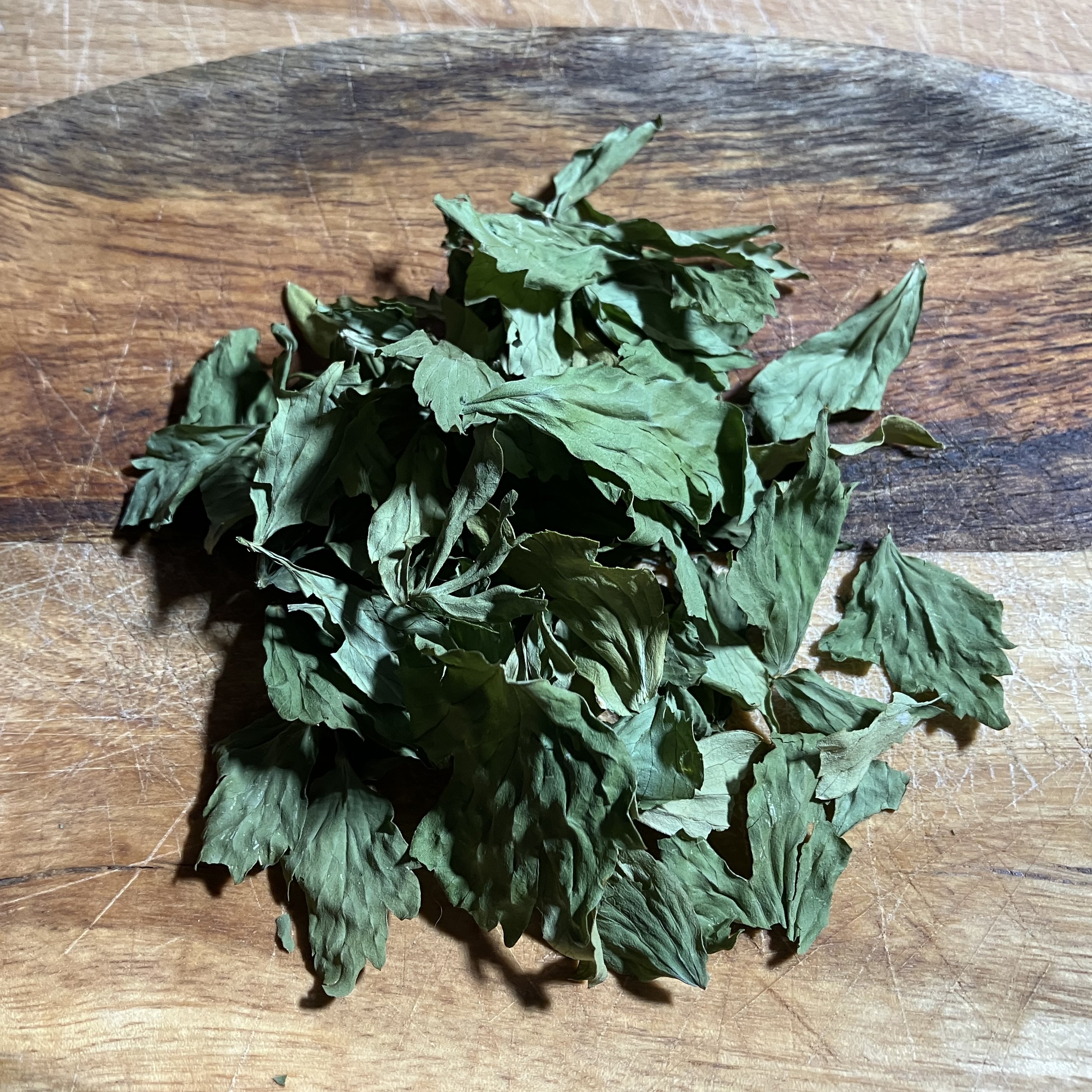 Lovage