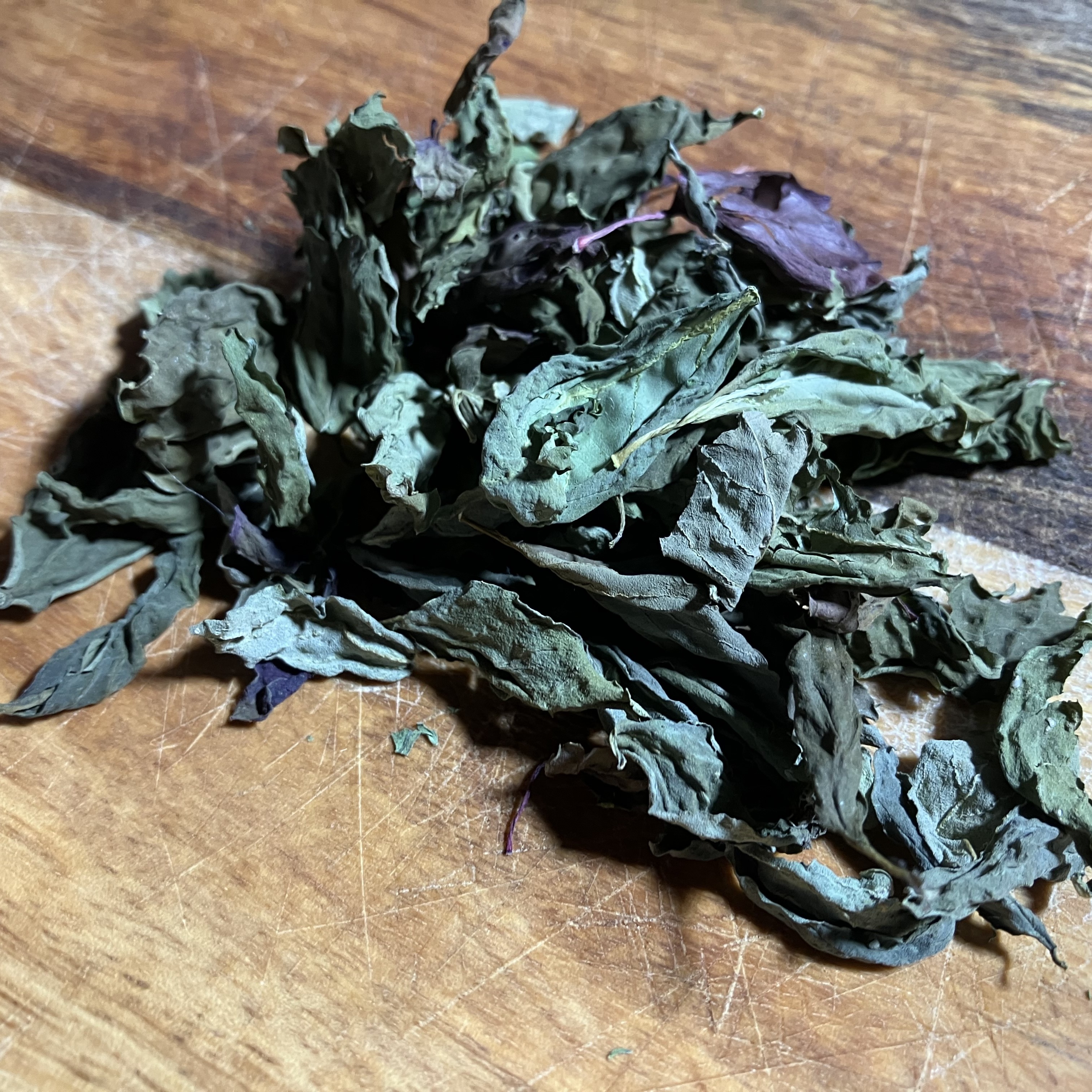  Basil photo 3