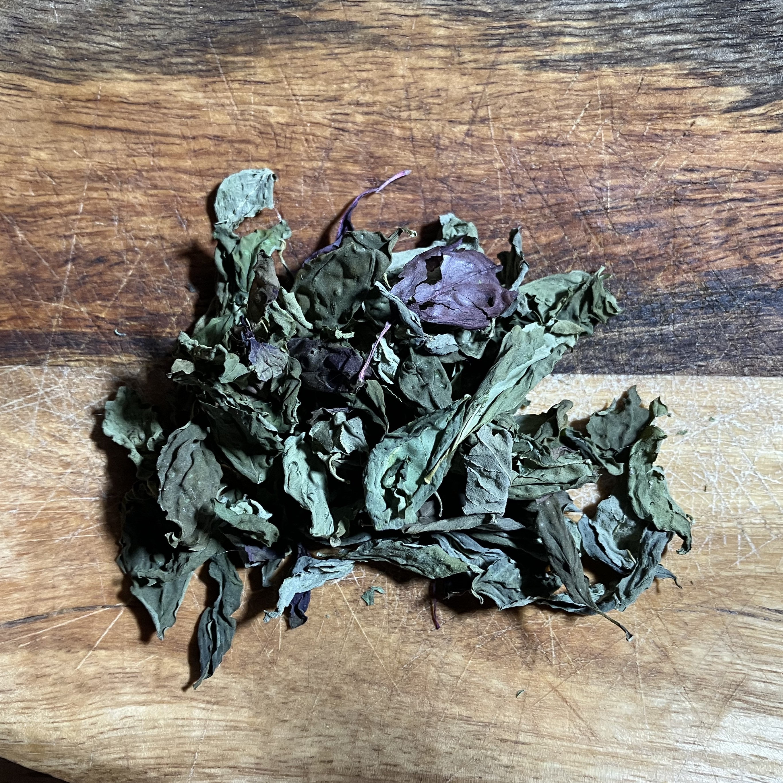  Basil photo 2